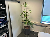 Hydrocultuur planten met pot (5x) - afbeelding 2 van  7