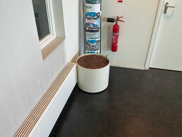 Hydrocultuur planten met pot (5x) - afbeelding 2 van  12