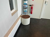 Hydrocultuur planten met pot (5x) - afbeelding 2 van  12