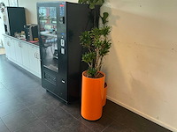 Hydrocultuur planten met pot (5x) - afbeelding 10 van  12