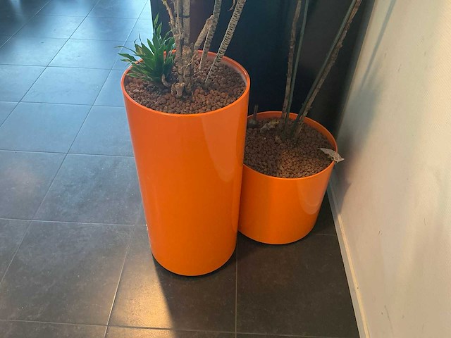 Hydrocultuur planten met pot (5x) - afbeelding 11 van  12