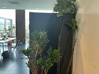 Hydrocultuur planten met pot (5x) - afbeelding 12 van  12