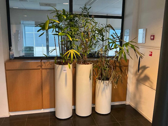 Hydrocultuur plantenbak (4x) - afbeelding 1 van  6