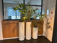 Hydrocultuur plantenbak (4x) - afbeelding 1 van  6