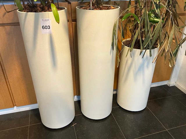 Hydrocultuur plantenbak (4x) - afbeelding 2 van  6