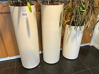 Hydrocultuur plantenbak (4x) - afbeelding 2 van  6