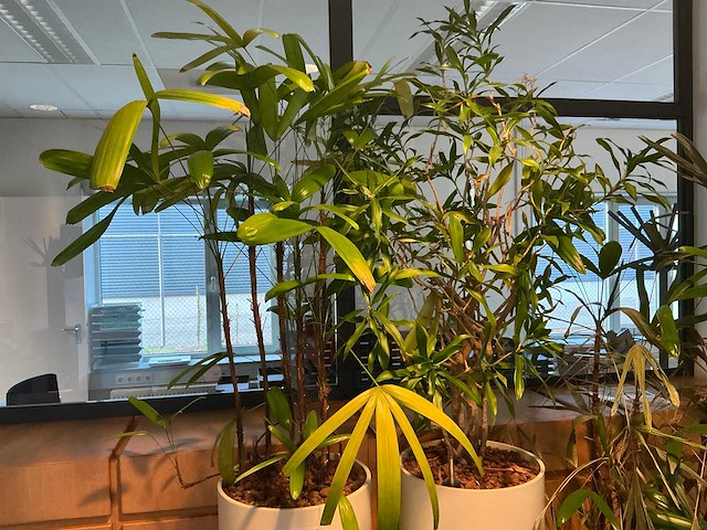 Hydrocultuur plantenbak (4x) - afbeelding 3 van  6