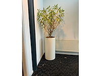 Hydrocultuur plantenbak (4x) - afbeelding 6 van  6