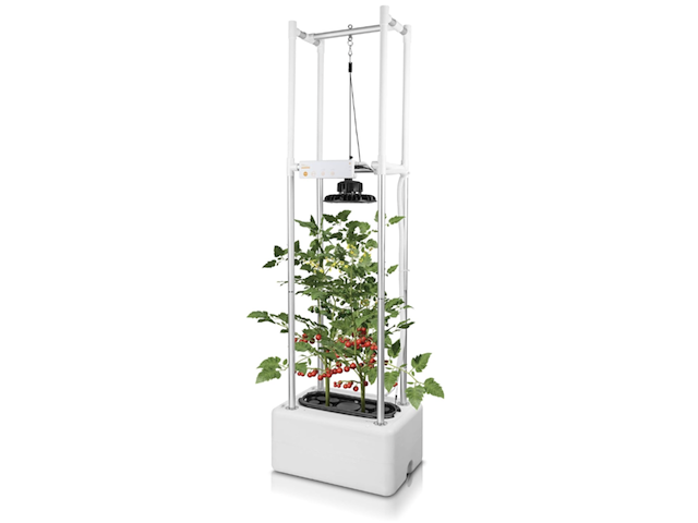 Hydroponisch kweeksysteem, opcom, growtank - afbeelding 1 van  3