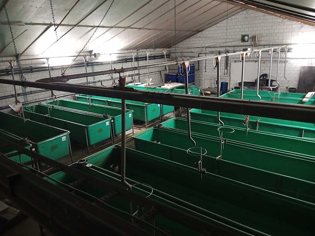 Hydrotech - 1999 - vis kweeksysteem - afbeelding 1 van  16