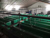 Hydrotech - 1999 - vis kweeksysteem