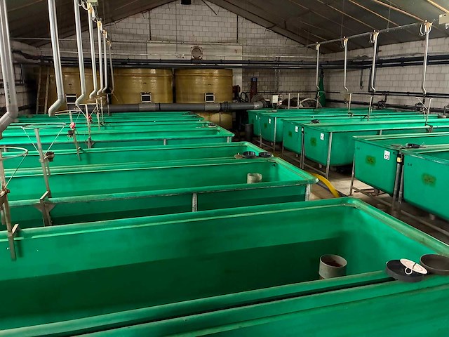 Hydrotech - 1999 - vis kweeksysteem - afbeelding 7 van  17