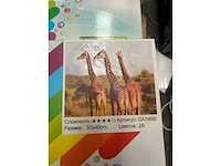 I-wannahave diamond painting inclusief tools 40x50 cm (64x) - afbeelding 2 van  6