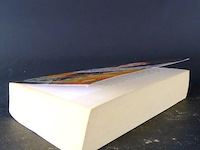 Ian mcewan. boetekleed - afbeelding 5 van  5