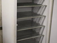 Iarp model ab 500n vrieskast - afbeelding 4 van  9