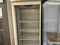 Iarp star 45.2 m r vriezer - afbeelding 4 van  5