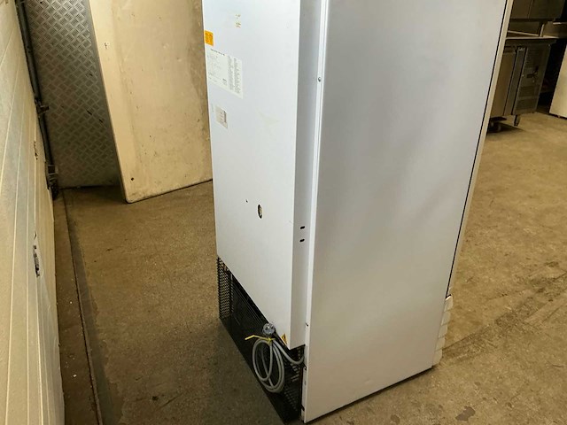 Iarp vriezer - afbeelding 7 van  8