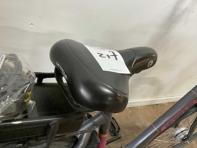Icycle elektrische fiets - afbeelding 1 van  1
