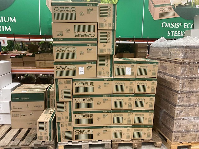 Ideal oase - afbeelding 1 van  5