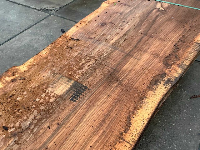 Iep (0,366 m3) - afbeelding 8 van  10