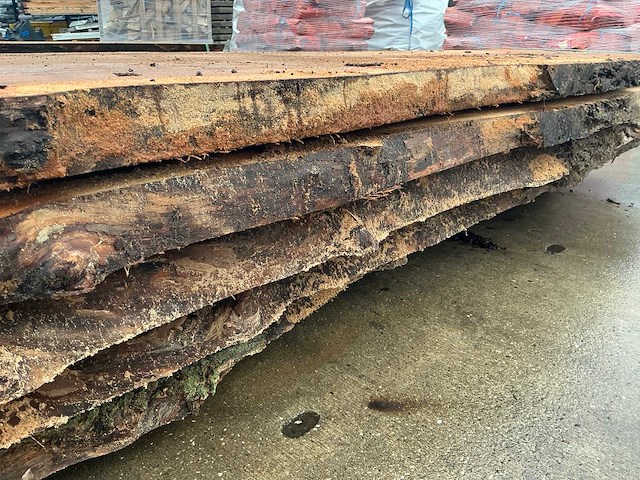 Iep (0,366 m3) - afbeelding 10 van  10