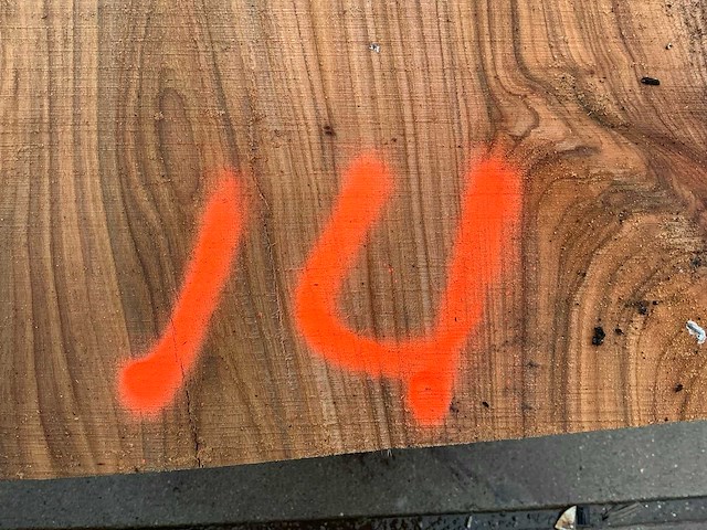 Iep (0,430 m3) - afbeelding 3 van  11