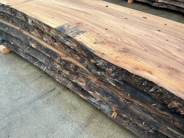 Iep (0,430 m3) - afbeelding 11 van  11