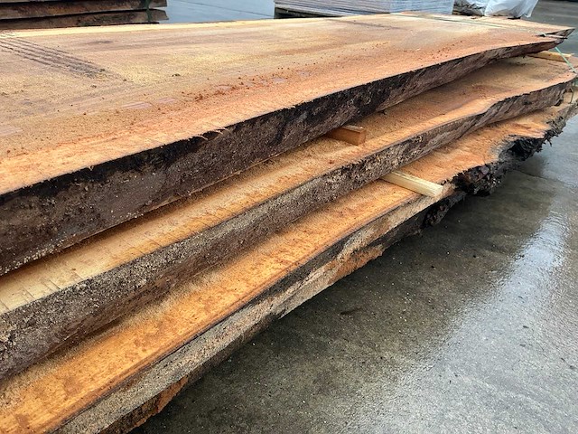 Iep (0,490 m3) - afbeelding 2 van  11