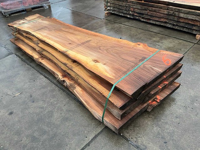 Iep (0,490 m3) - afbeelding 1 van  11