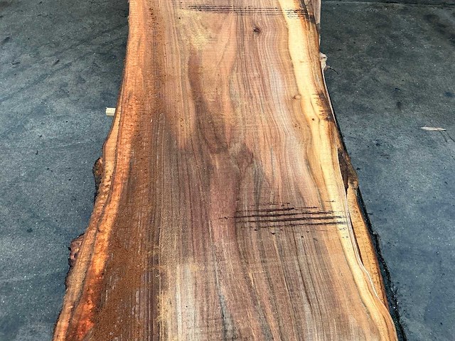 Iep (0,490 m3) - afbeelding 9 van  11