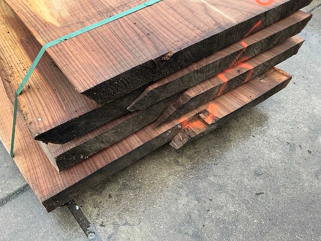 Iep (0,490 m3) - afbeelding 11 van  11