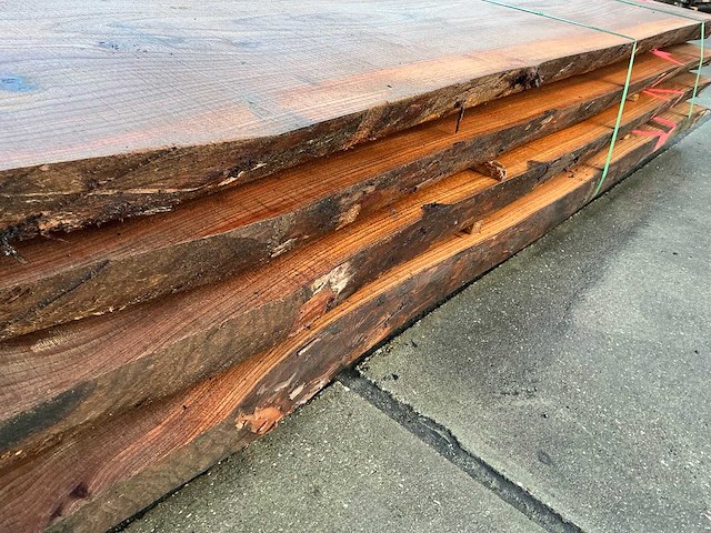 Iep (0,500 m3) - afbeelding 2 van  13