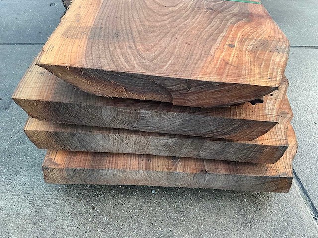 Iep (0,500 m3) - afbeelding 3 van  13