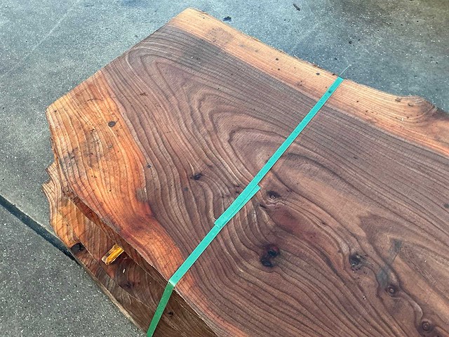 Iep (0,500 m3) - afbeelding 13 van  13