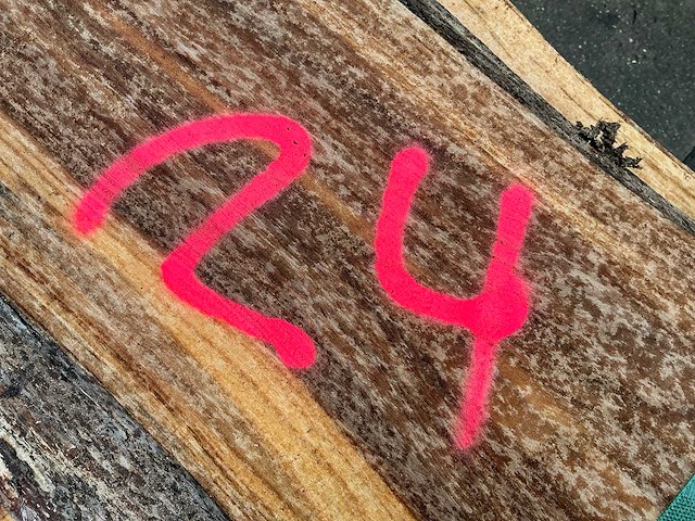 Iep (0,500 m3) - afbeelding 5 van  13