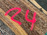 Iep (0,500 m3) - afbeelding 5 van  13