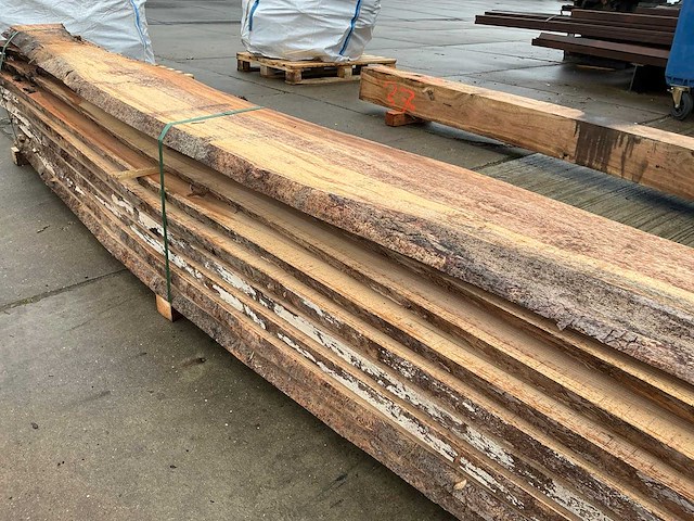 Iep (0,500 m3) - afbeelding 13 van  13