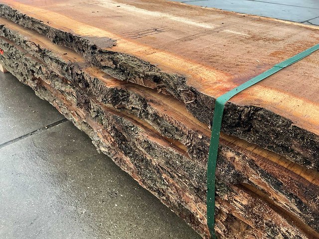 Iep (0,516 m3) - afbeelding 8 van  10