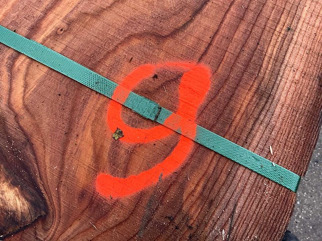 Iep (0,555 m3) - afbeelding 3 van  11