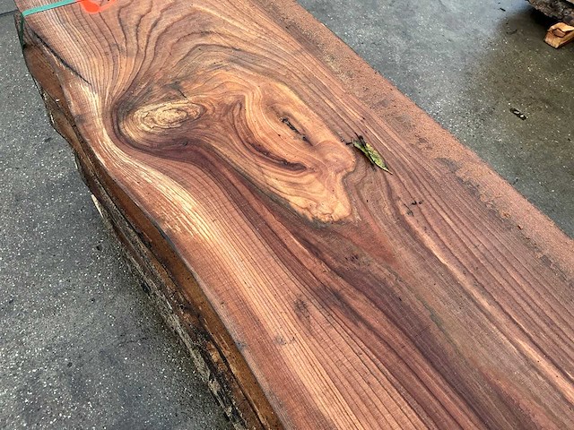 Iep (0,555 m3) - afbeelding 11 van  11