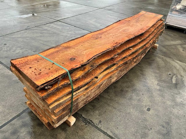 Iep (0,577 m3) - afbeelding 2 van  9