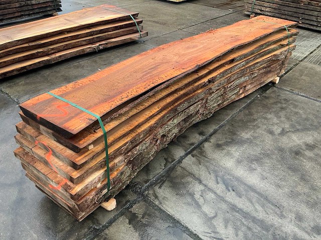 Iep (0,577 m3) - afbeelding 5 van  9