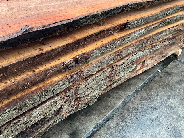 Iep (0,577 m3) - afbeelding 6 van  9