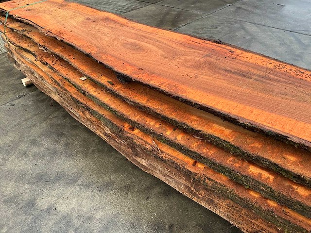 Iep (0,577 m3) - afbeelding 7 van  9