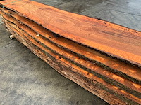 Iep (0,577 m3) - afbeelding 7 van  9