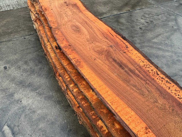 Iep (0,577 m3) - afbeelding 8 van  9