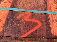 Iep (0,577 m3) - afbeelding 9 van  9