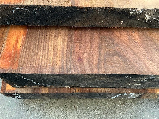 Iep (0,586 m3) - afbeelding 7 van  10