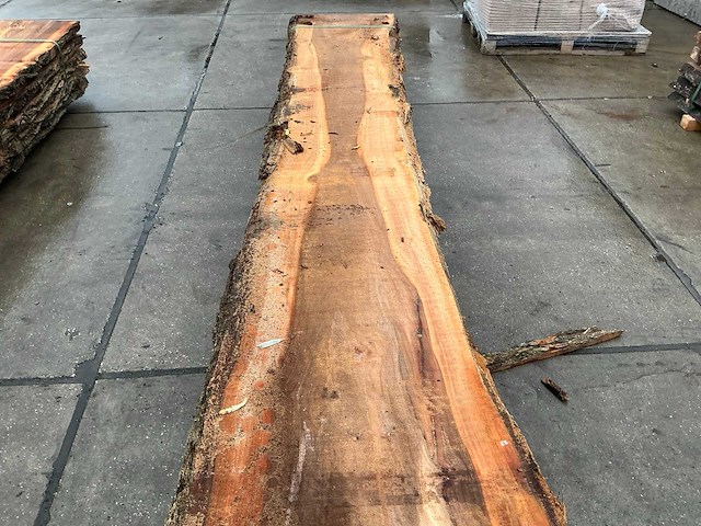 Iep (0,586 m3) - afbeelding 8 van  10