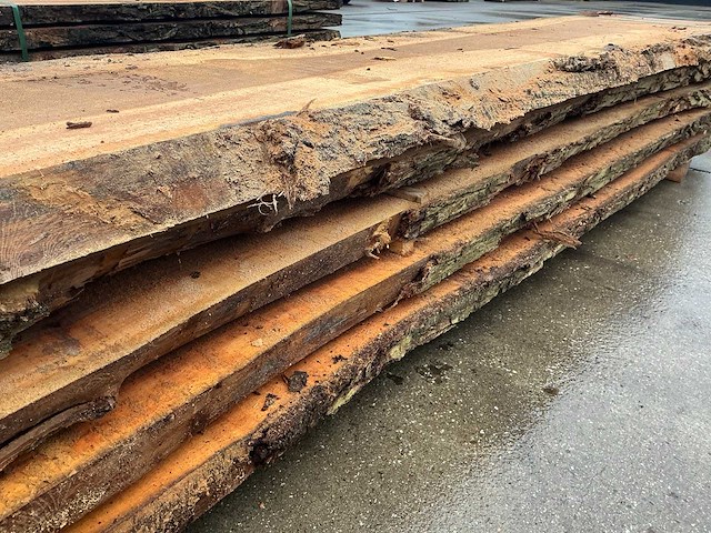 Iep (0,586 m3) - afbeelding 9 van  10